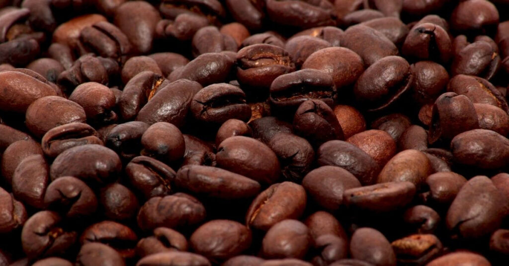 Best Kona coffee brands