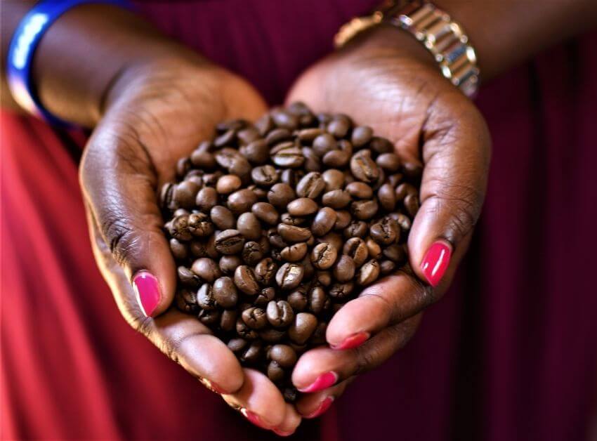 how does kenyan coffee taste?