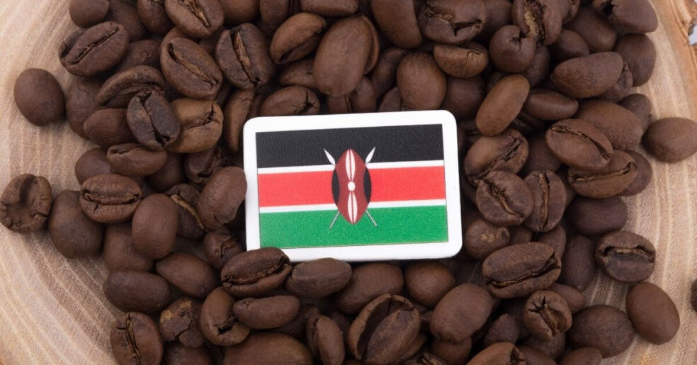what does Kenya coffee taste like
