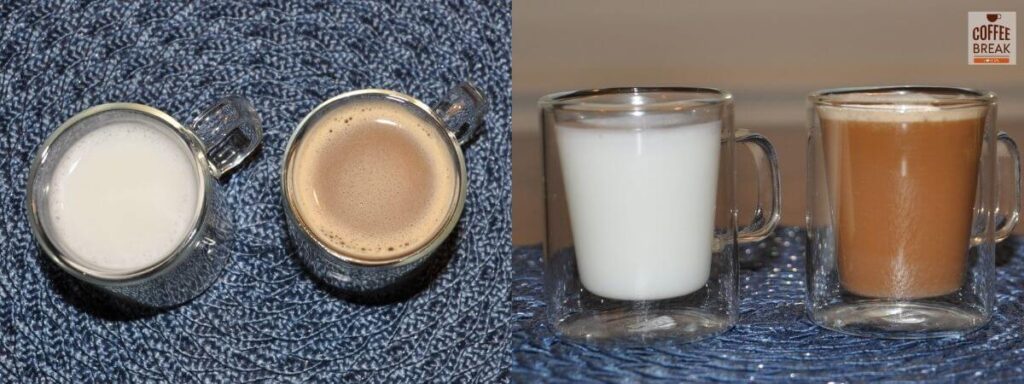 which milk froths best - rice milk