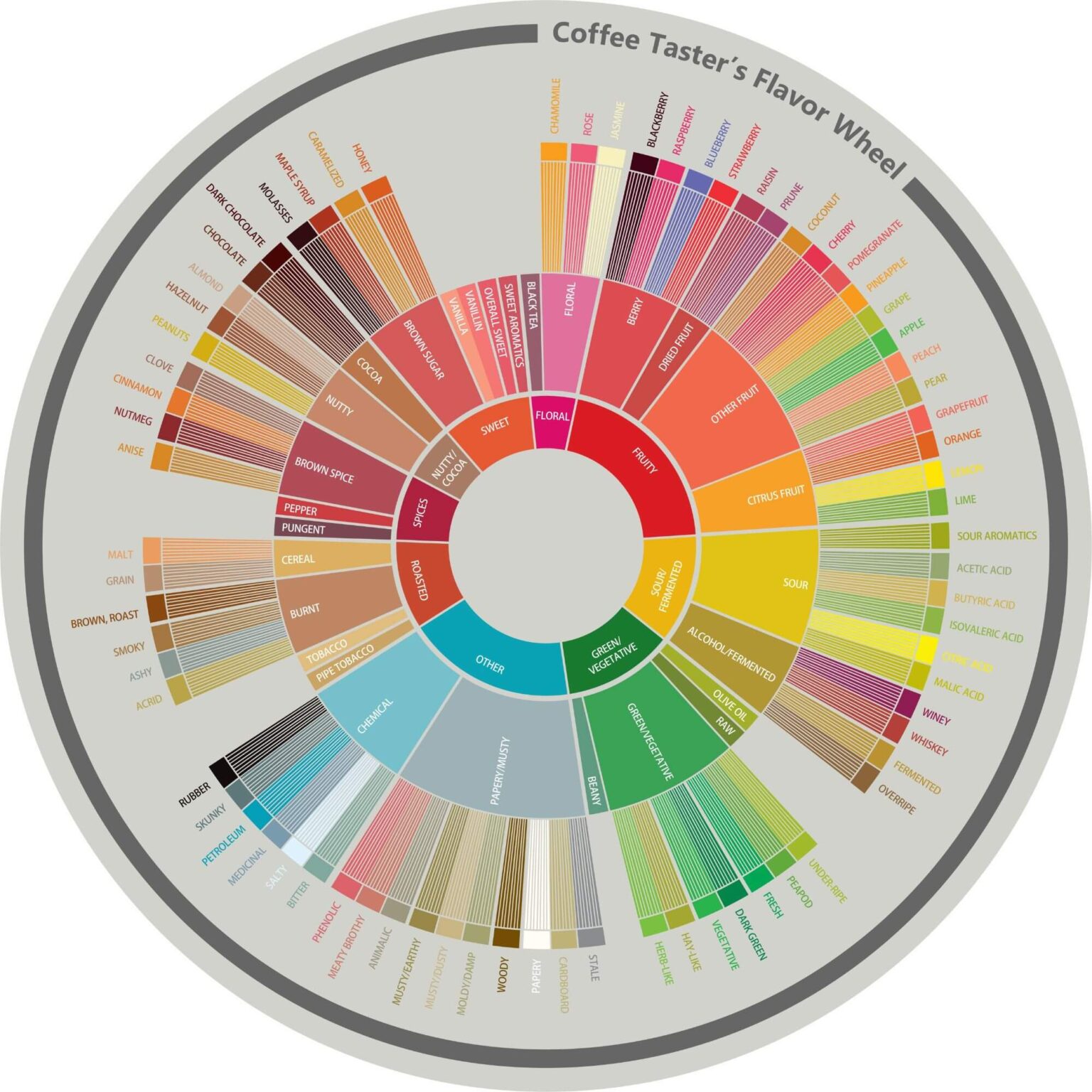 Coffee Flavor Profiles (how Many Coffees Flavors Exist?) 