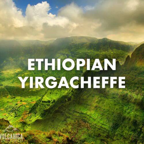 ethiopian